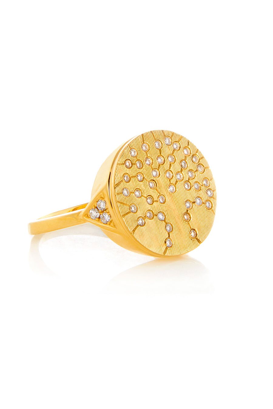 Tree of Life Signet Ring in 18k Yellow Gold | Florentine