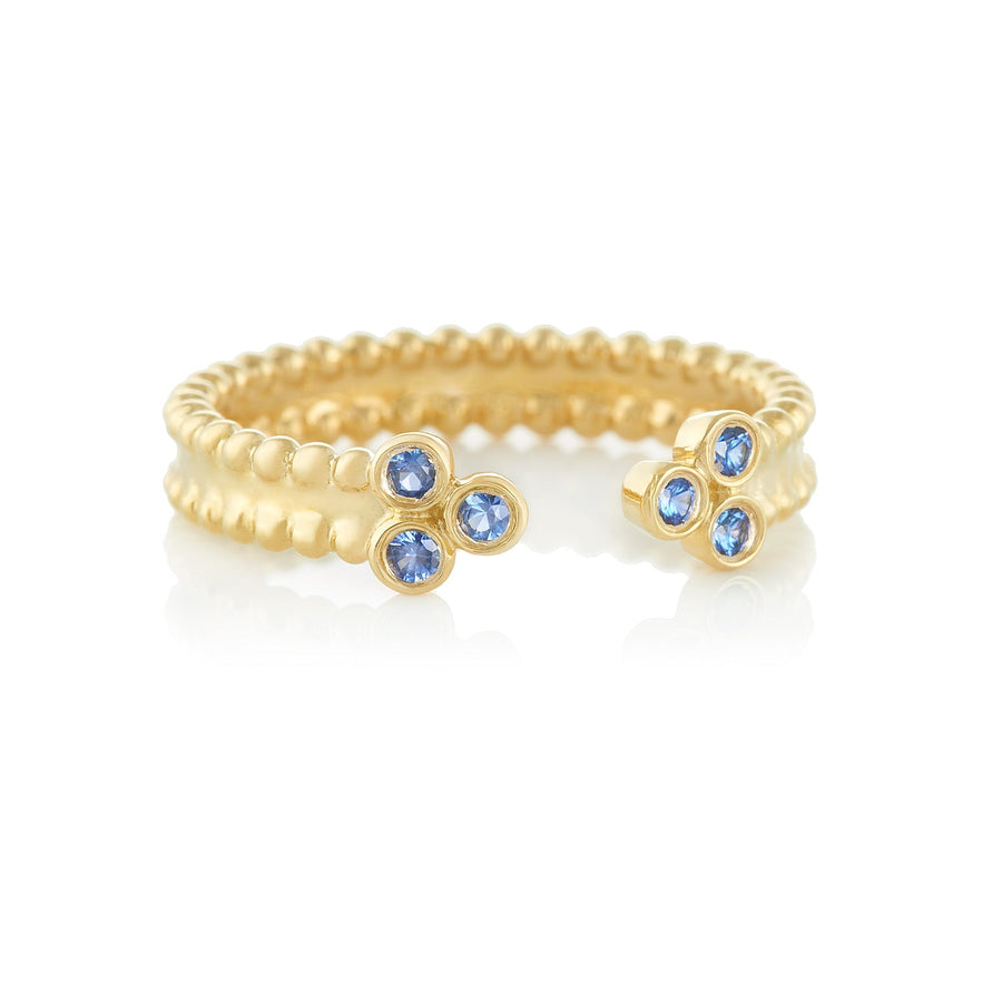 Blue Sapphire 'Harmony' Ring in 18k Gold